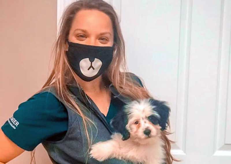 Veterinary Staff member with dog